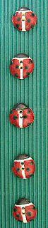 BC111a - Ladybirds